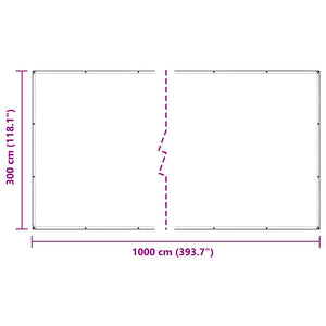 Σαφής μουσαμάς με οπές 3x10 m PVC