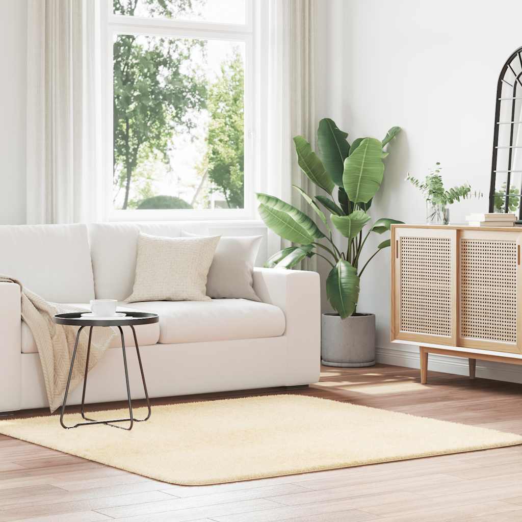 Χαλί Shaggy με Ψηλό Πέλος NAVARRA Κρέμα 160x160 εκ. πολυεστέρας - Pakobazaar