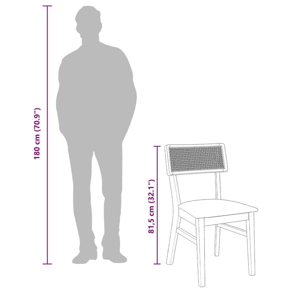 Καρέκλες τραπεζαρίας με μαξιλάρια 2 τεμάχια από μασίφ ξύλο - Pakobazaar