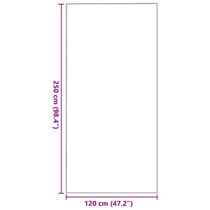 Χαλάκι Εξώπορτας Μπεζ και Μαύρο 120 x 250 cm 100% Πολυαμίδιο - Pakobazaar