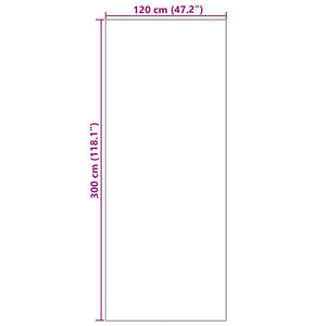 Χαλάκι Εξώπορτας Μπεζ και Μαύρο 120 x 300 cm 100% Πολυαμίδιο - Pakobazaar