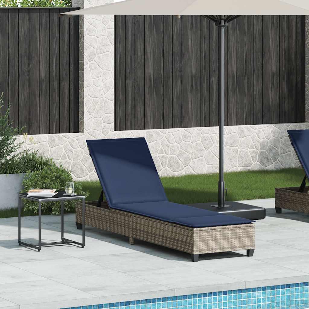 Ξαπλώστρα με Μαξιλάρια Γκρι 55x200x25,5 εκ. από Συνθετικό Ρατάν - Pakobazaar