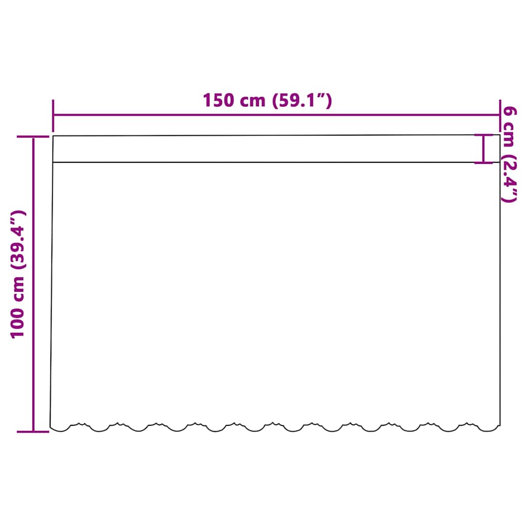 Κουρτίνα Δαντέλας με κουρτίνες Λευκό 100 x 150 cm Πολυεστέρας