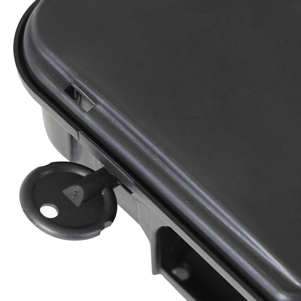 Παγίδες ποντικιών 6 τεμάχια Μαύρο 22x12,5x7,5 εκ.