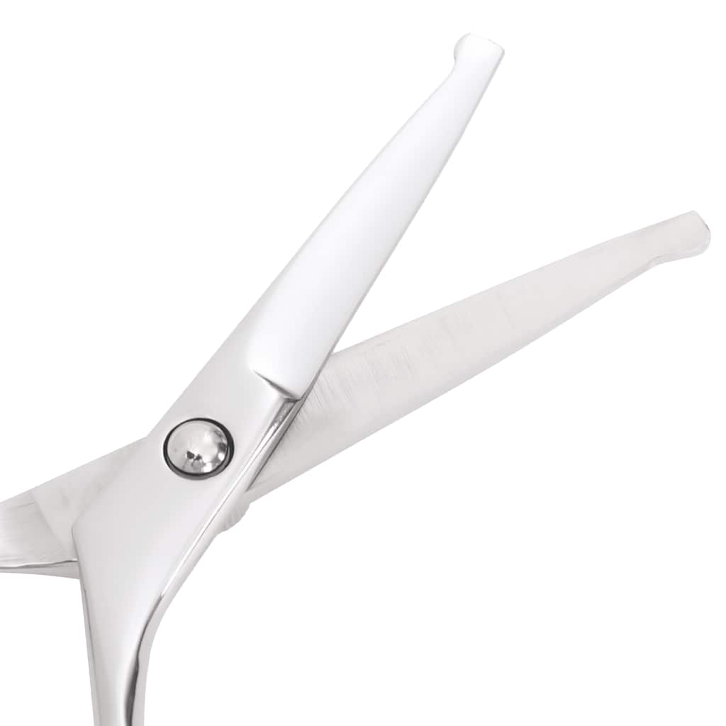 Σετ ψαλιδιών περιποίησης σκύλων 6 τεμαχίων από ανοξείδωτο - Pakobazaar