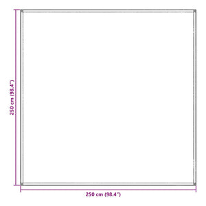 Χαλκάκι Σκηνής Ανοιχτό γκρι 250 x 250 cm Πολυαιθυλένιο - Pakobazaar