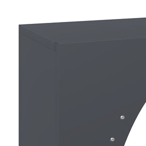 Ράφι Καυσόξυλων Ανθρακί 50x23x100 εκ. Χάλυβας ψυχρής έλασης
