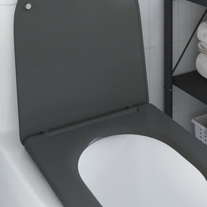Λεκάνη Ανθρακί 47 x 36 x 3,4 εκ Δυροπλάστ - Pakobazaar
