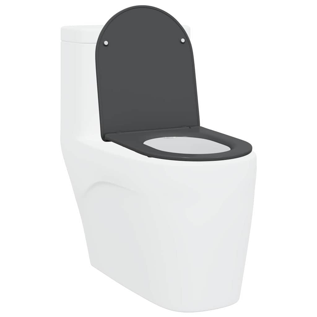 Λεκάνη Ανθρακί 47 x 36 x 3,4 εκ Δυροπλάστ - Pakobazaar