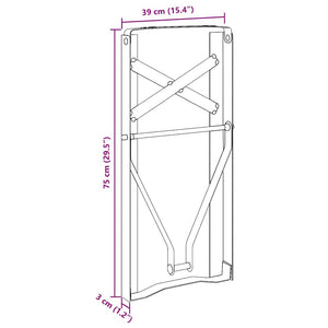 Πόδι Τραπέζι Μπύρας 2 pcs Μαύρο 39 x 3 x 75 εκ - Pakobazaar