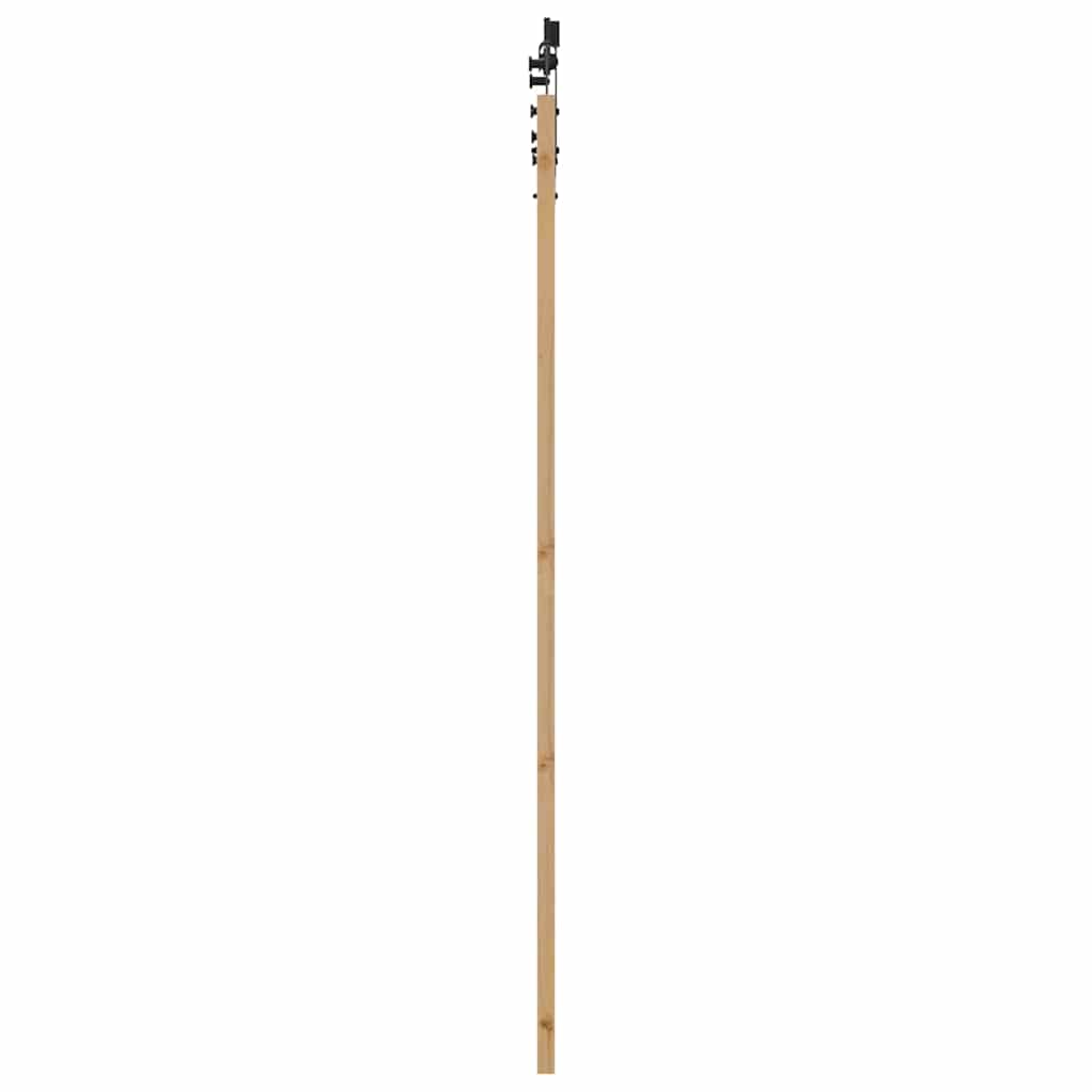 Συρόμενη Πόρτα Φυσικό και Μαύρο 86 x 211 cm - Pakobazaar