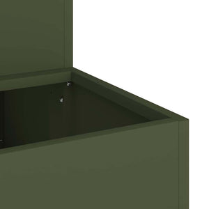 Γλάστρα Κήπου Ελιά Πράσινη 100 x 60 x 45 εκ - Pakobazaar