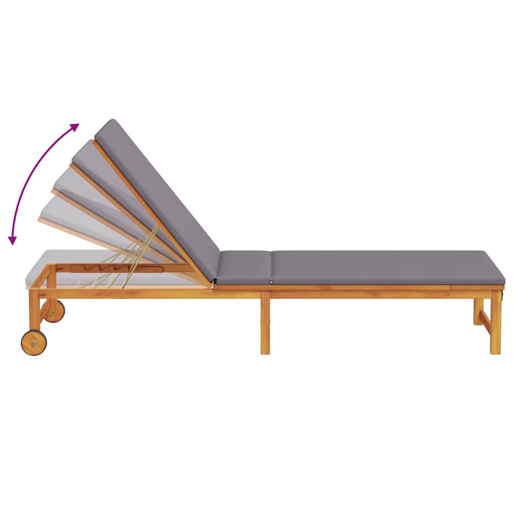 Ξαπλώστρα Καφέ 202 x 53 x 89 εκ Στερεό Ξύλο Ακακίας