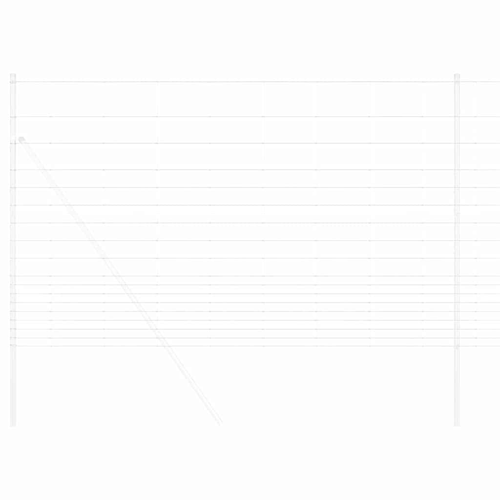 Άγριο Φράχτη Ζεστός Γαλβανισμένος 1000 x 150 x 0,18 εκ. Σίδερο