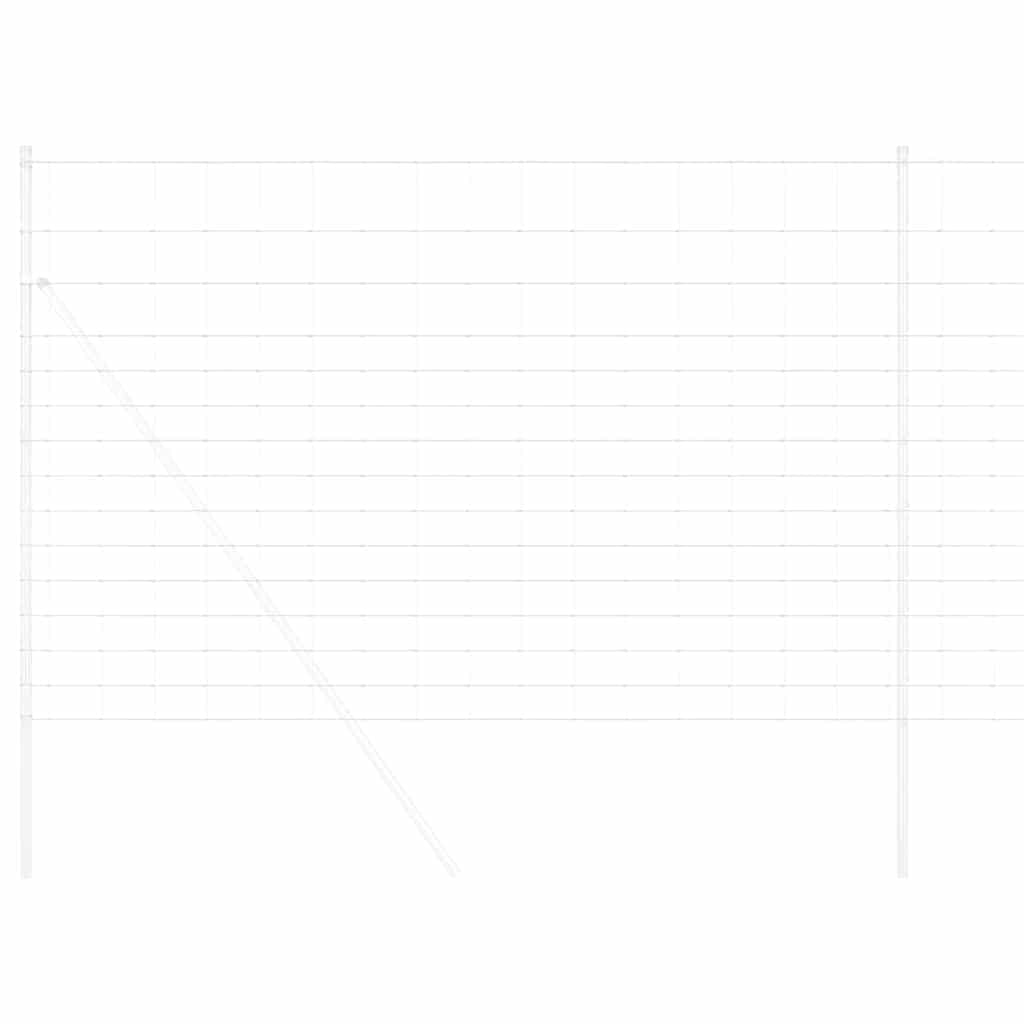 Άγριο Φράχτη Ζεστός Γαλβανισμένος 1000 x 160 x 0,18 εκ. Σίδερο - Pakobazaar