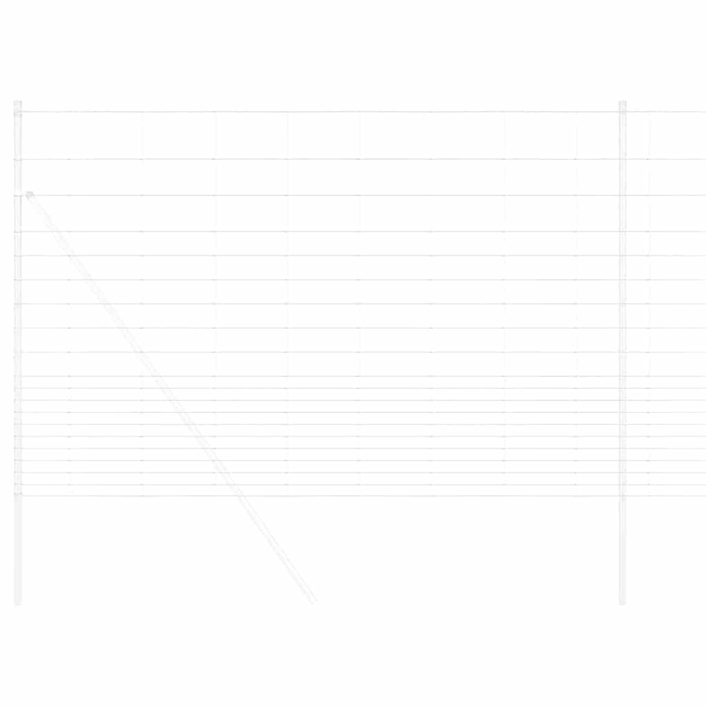 Άγριο Φράχτη Ζεστός Γαλβανισμένος 1000 x 150 x 0,18 εκ. Σίδερο