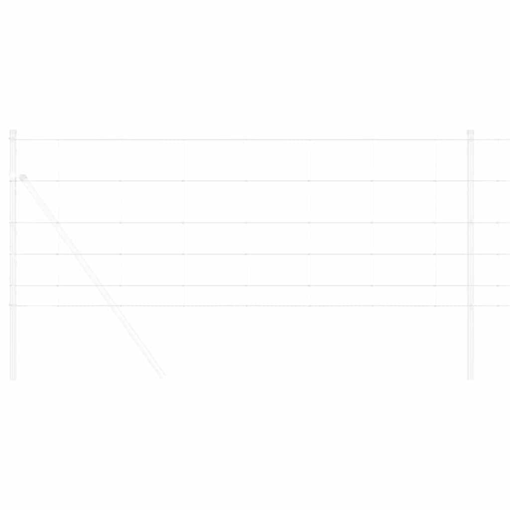 Περίφραξη αγρού Ασημί 100 x 0,8 μ Γαλβανισμένος χάλυβας