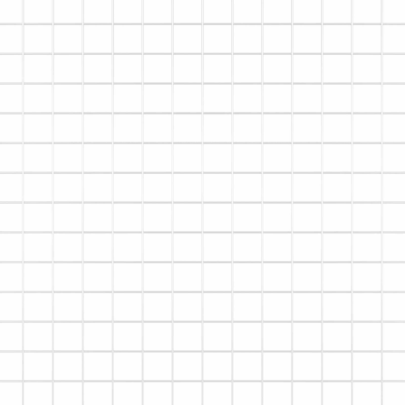 Συγκολλητός φράχτης από σύρμα Ασημί