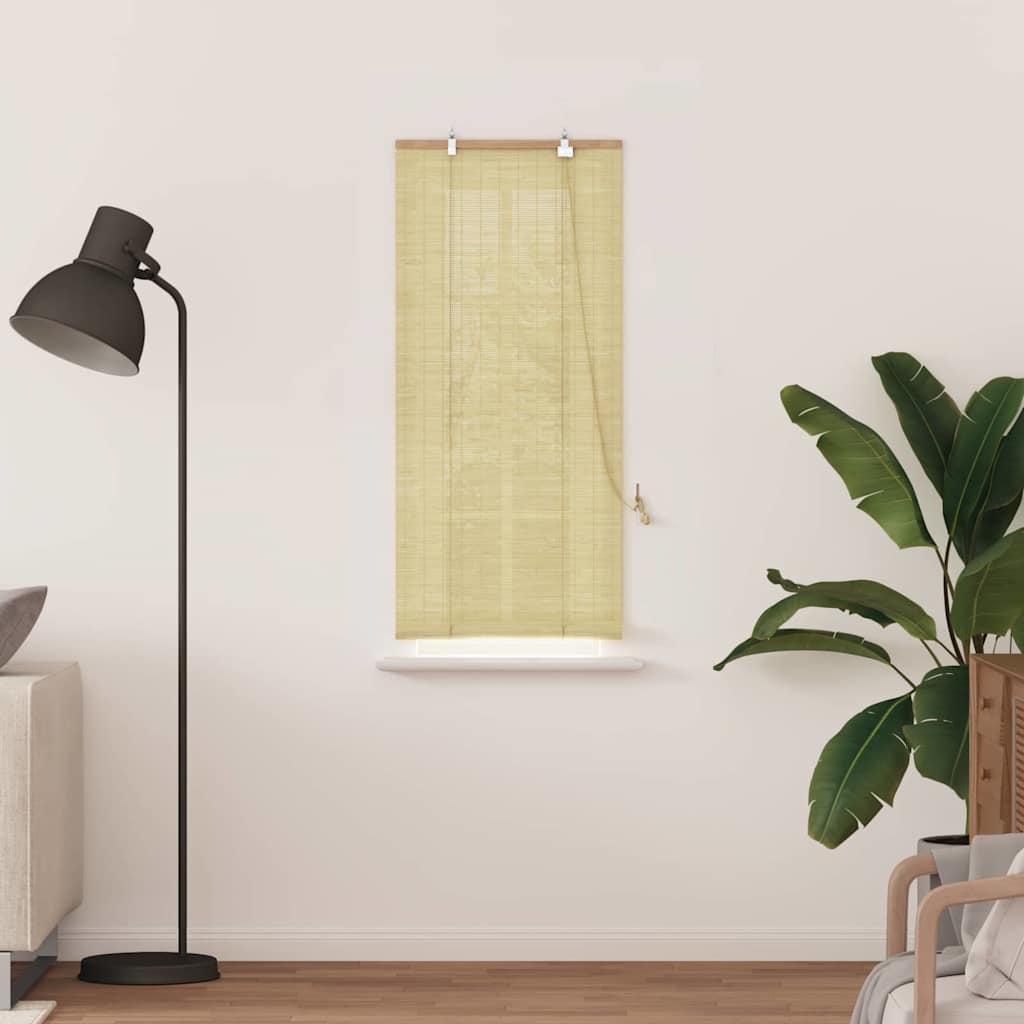 Ρόλερ με κουρτίνες Φύση 60 x 160 εκ. Μπαμπού - Pakobazaar