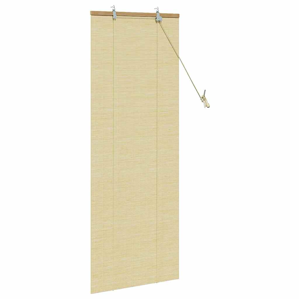 Ρόλερ με κουρτίνες Φύση 60 x 160 εκ. Μπαμπού - Pakobazaar