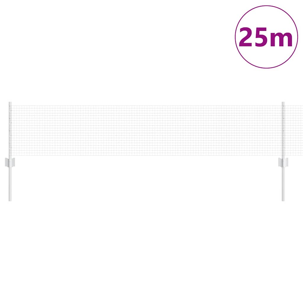 Τεντώτο με στήριγμα Ασημί 0,4 x 25 μ Ατσάλι