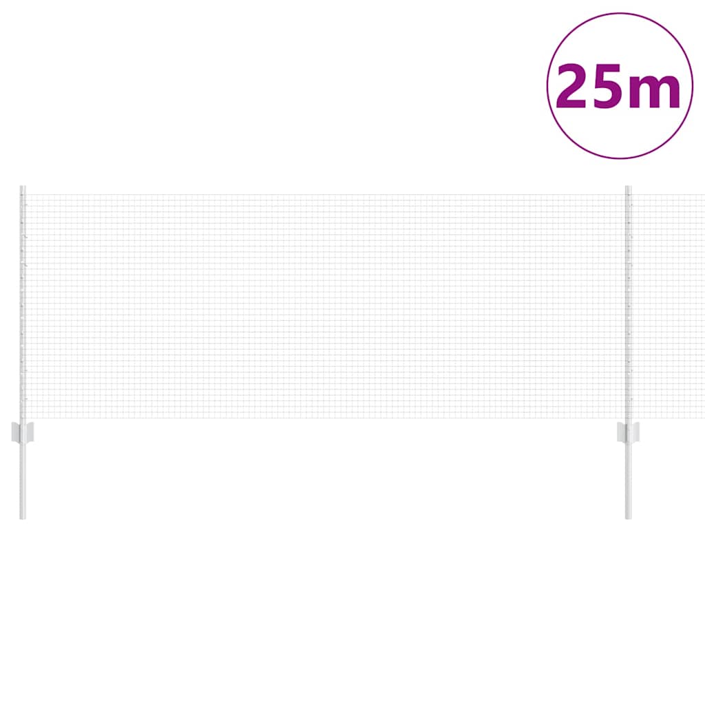 Τεντώτο με στήριγμα Ασημί 0,8 x 25 m Ατσάλι