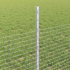 Συρματόπλεγμα με Στυλίς 50 x 0,5 μ Γαλβανισμένος Χάλυβας Ασημί