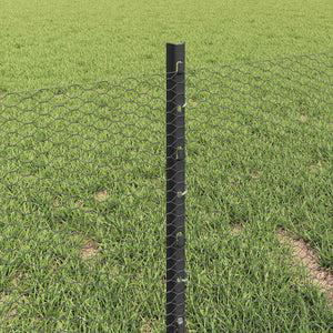 Εξαγωνική Φράχτη με Στύλο 100 x 0,4 μ. PVC-Επικαλυμμένο Ατσάλι - Pakobazaar