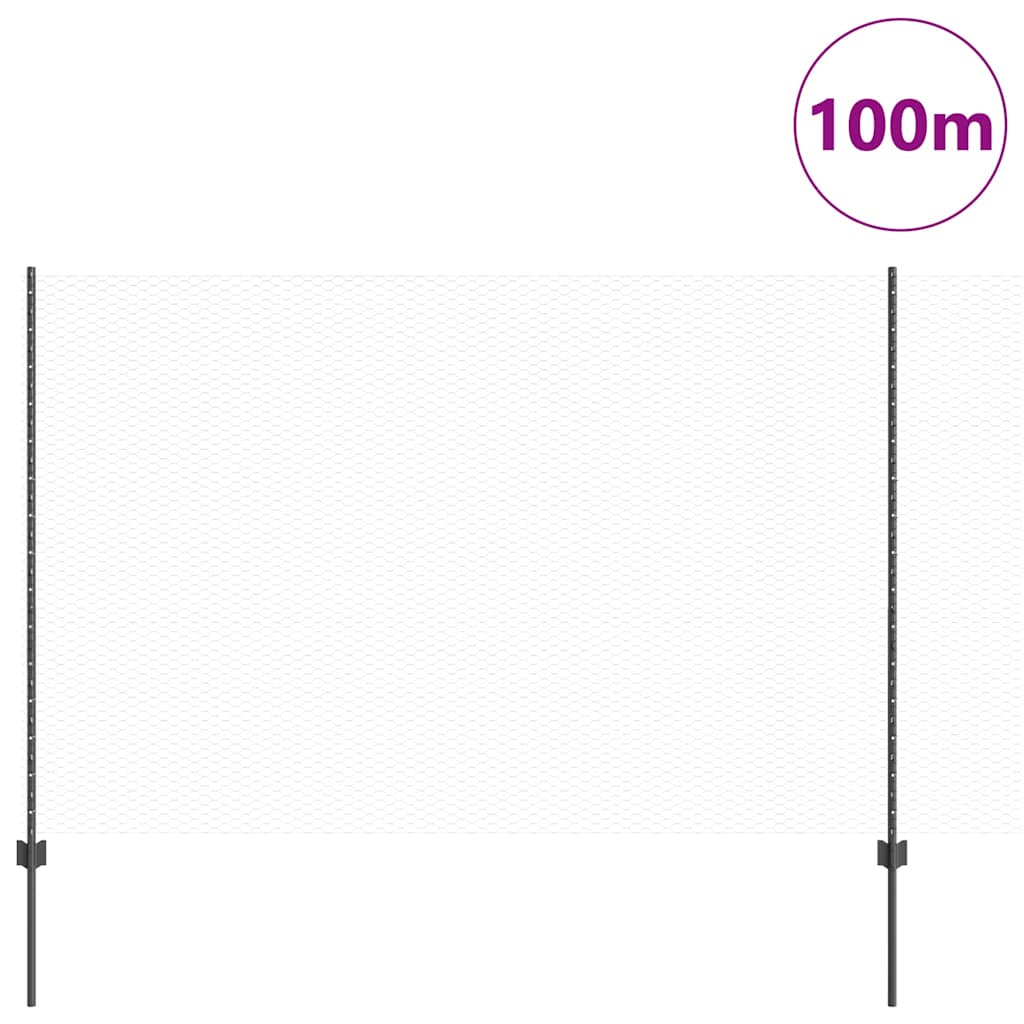 Εξαγωνική Φράχτη με Στύλο 100 x 1,6 μ PVC-Επικαλυμμένο Ατσάλι