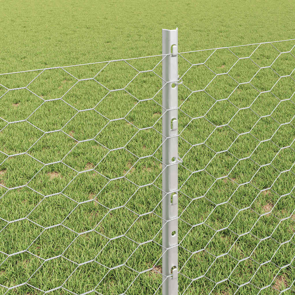 Τεντώτο με στήριγμα Ασημί 0,8 x 10 m Ατσάλι