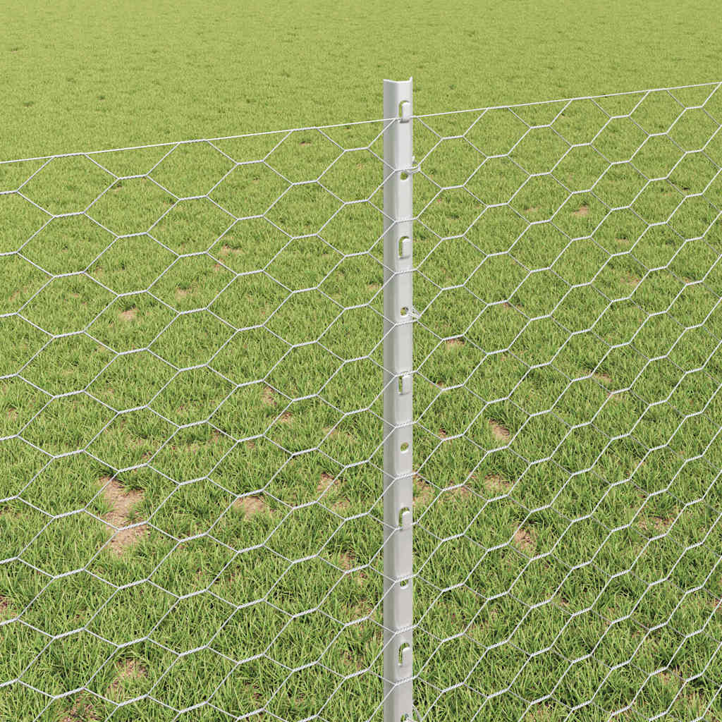 Τεντώτο με στήριγμα Ασημί 1 x 10 m Ατσάλι