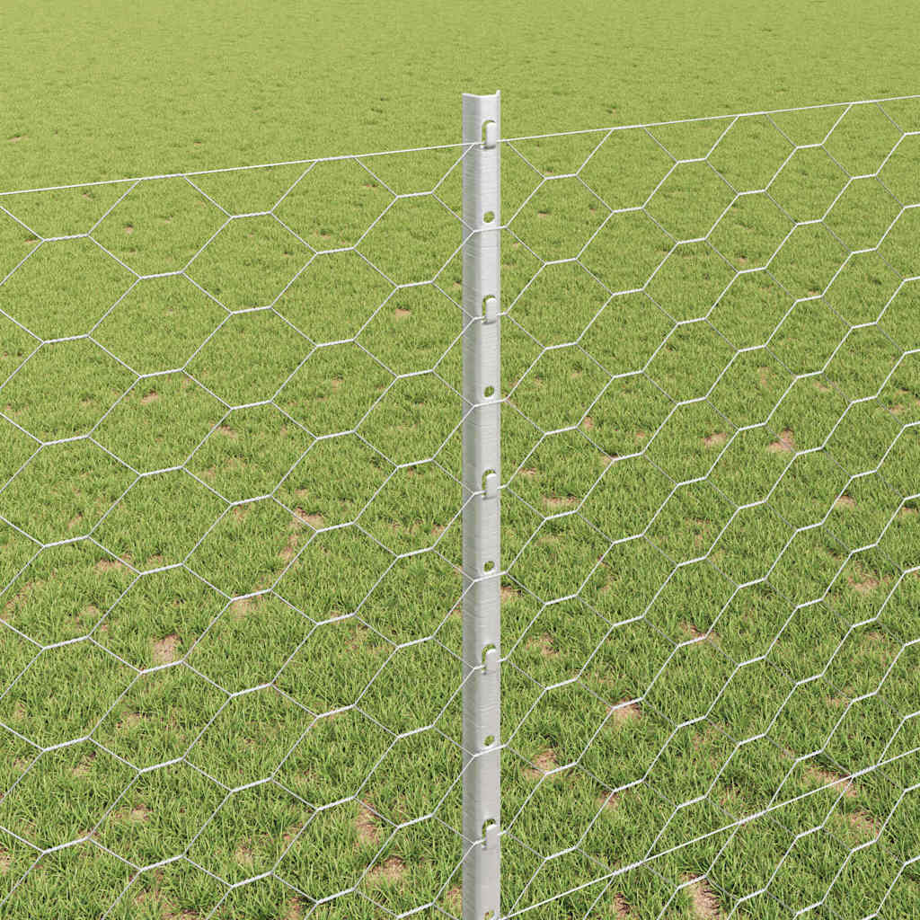 Τεντώτο με στήριγμα Ασημί 1,4 x 10 m Ατσάλι