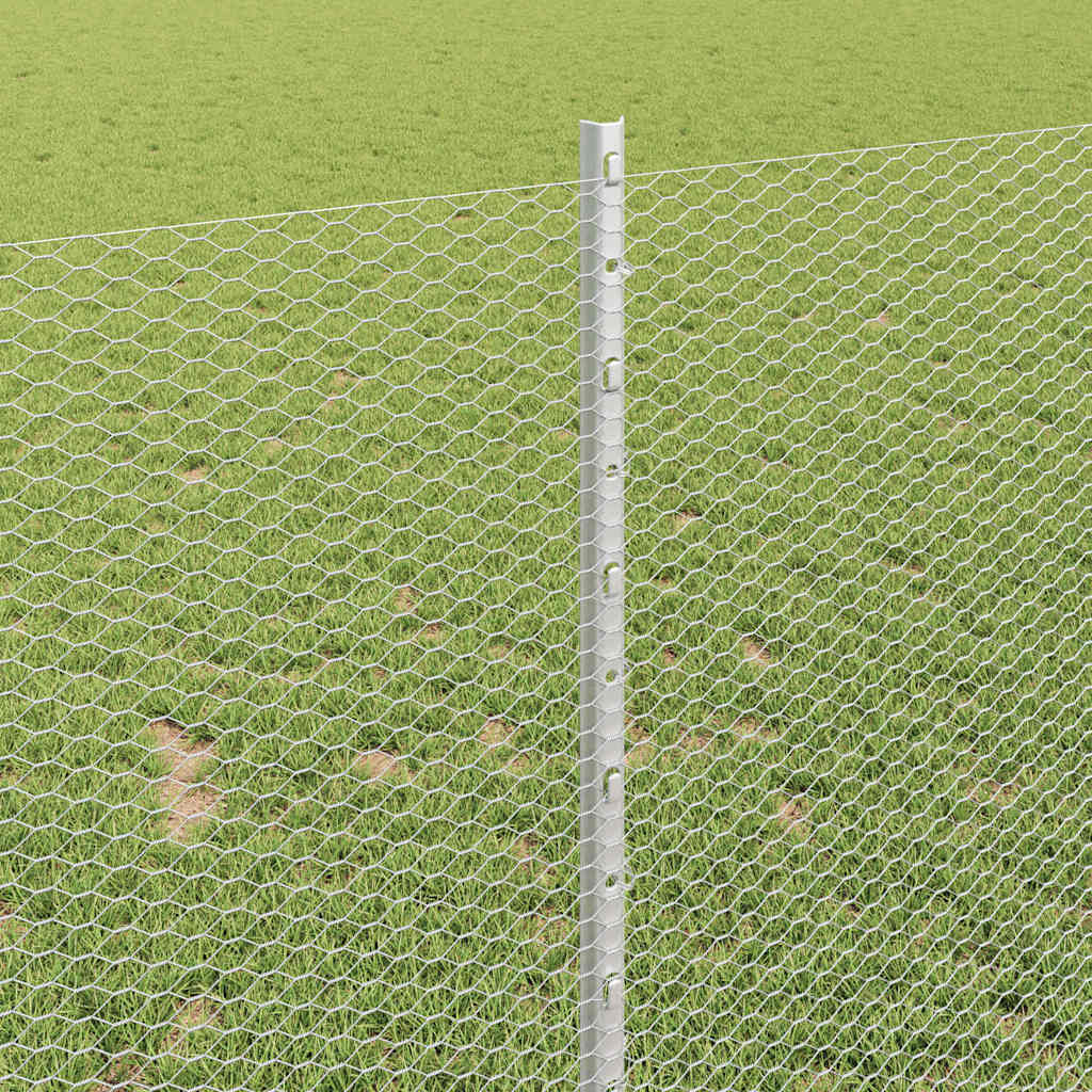 Τεντώτο με στήριγμα Ασημί 1 x 50 m Ατσάλι