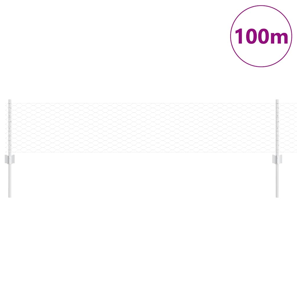 Τεντώτο με στήριγμα Ασημί 0,4 x 100 μ Ατσάλι