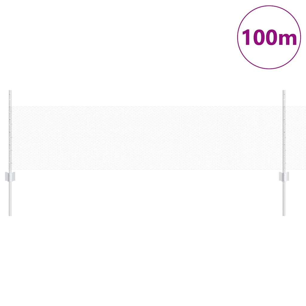 Τεντώτο με στήριγμα Ασημί 0,5 x 100 μ Ατσάλι