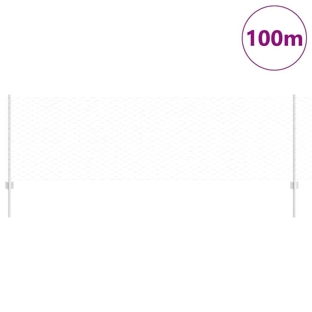 Τεντώτο με στήριγμα Ασημί 0,8 x 100 μ Ατσάλι
