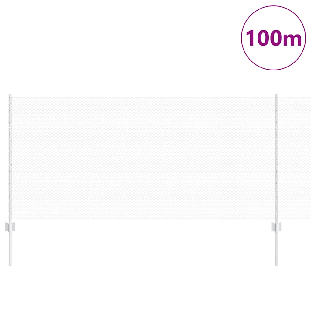 Τεντώτο με στήριγμα Ασημί 1 x 100 m Ατσάλι