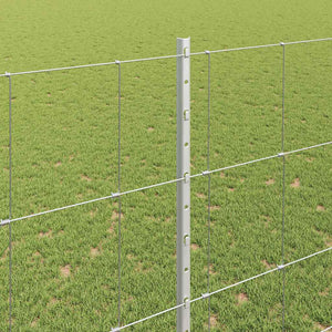 Εξωτερική άγρια περίφραξη με στήλες 50 x 1,5 m Ασημί Δίχτυ