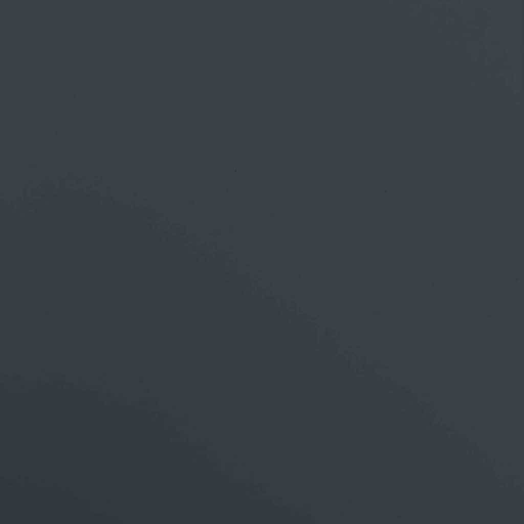 Αποθήκευση Κάδου με Καπάκι Αερίου για Κάδο 240L Ανθρακί Ατσάλι - Pakobazaar