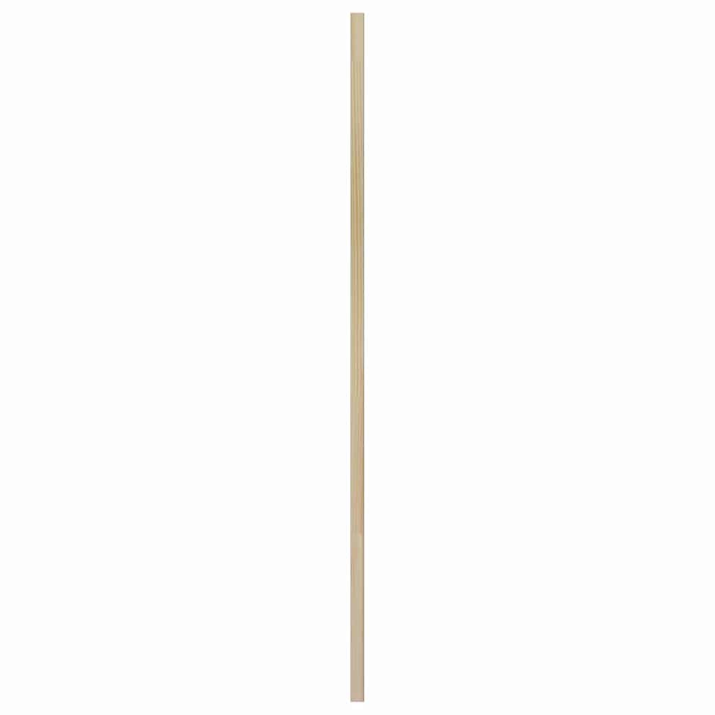 Πόρτα Ντουλάπας με πόρτα 2 pcs Φυσικό 49,5 x 2,1 x 110 εκ - Pakobazaar