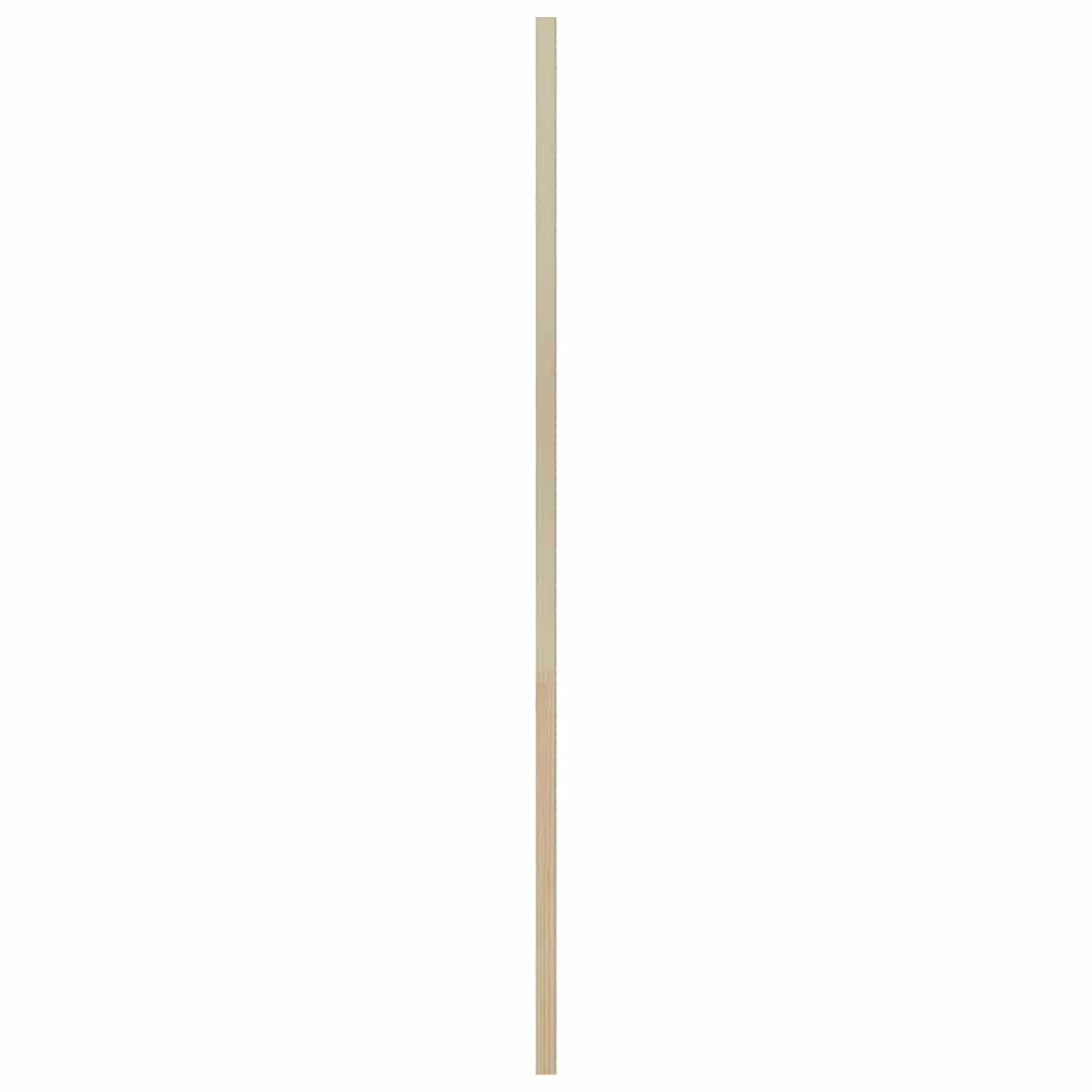 Πόρτα Ντουλάπας με πόρτα 2 pcs Φυσικό 110 x 2,1 x 59,5 cm - Pakobazaar