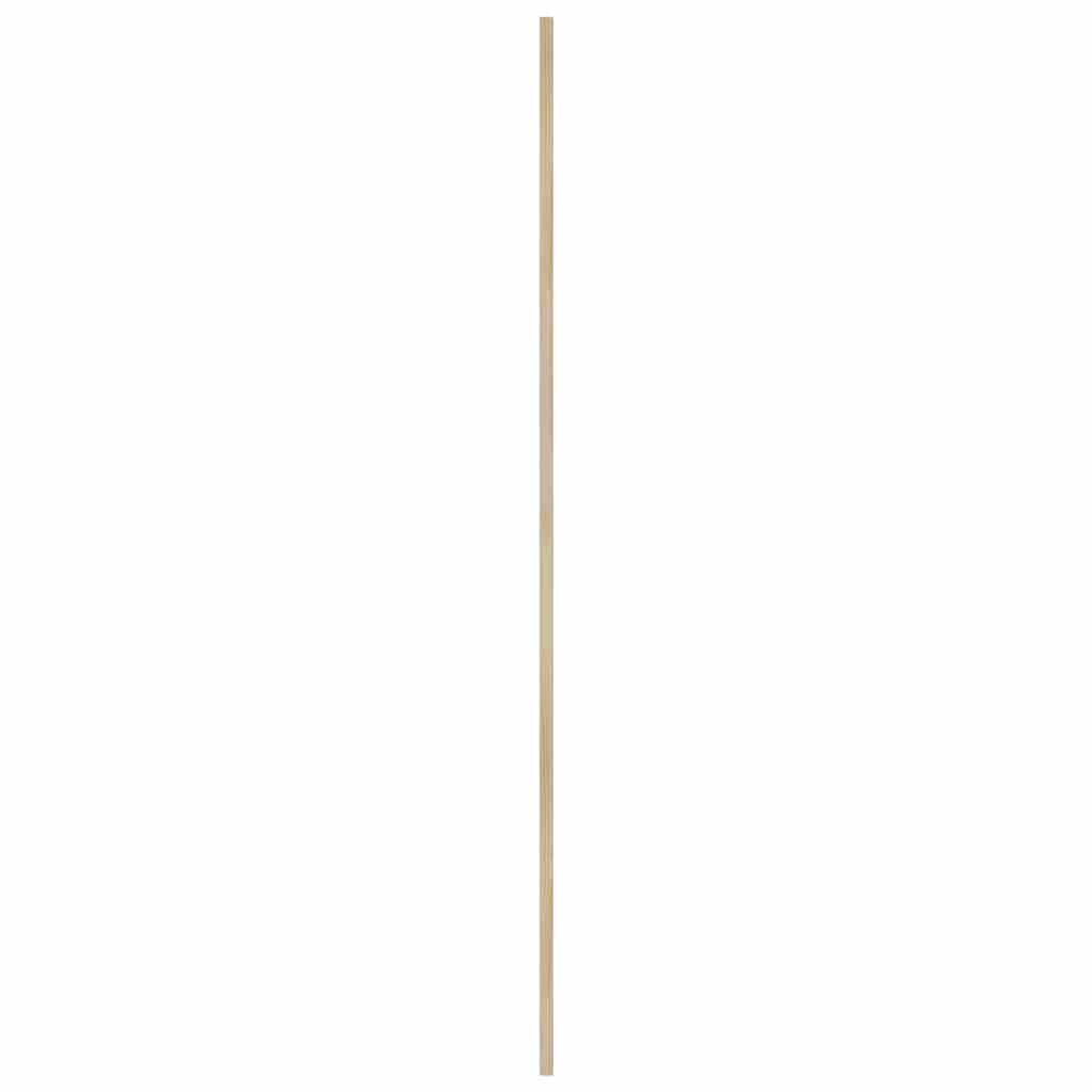 Πόρτα Ντουλάπας Φυσικό 170 x 2,1 x 39,5 cm Στερεά ξυλεία πεύκου - Pakobazaar