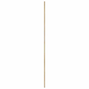 Πόρτα Ντουλάπας Φυσικό 170 x 2,1 x 39,5 cm Στερεά ξυλεία πεύκου - Pakobazaar