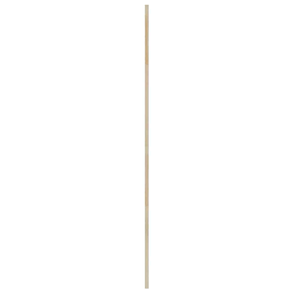 Πόρτα Ντουλάπας με πόρτα 2 pcs Φυσικό 170 x 2,1 x 49,5 cm - Pakobazaar
