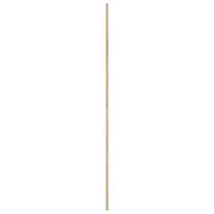 Πόρτα Ντουλάπας Φυσικό 170 x 2,1 x 59,5 cm Στερεά ξυλεία πεύκου - Pakobazaar