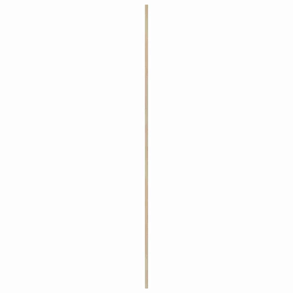 Πόρτα Ντουλάπας Φυσικό 201 x 2,1 x 49,5 cm Στερεά ξυλεία πεύκου - Pakobazaar