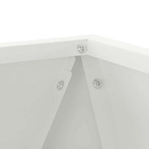 Γλάστρα 2 τμχ. Λευκό 30 x 30 x 30 cm Ατσάλι