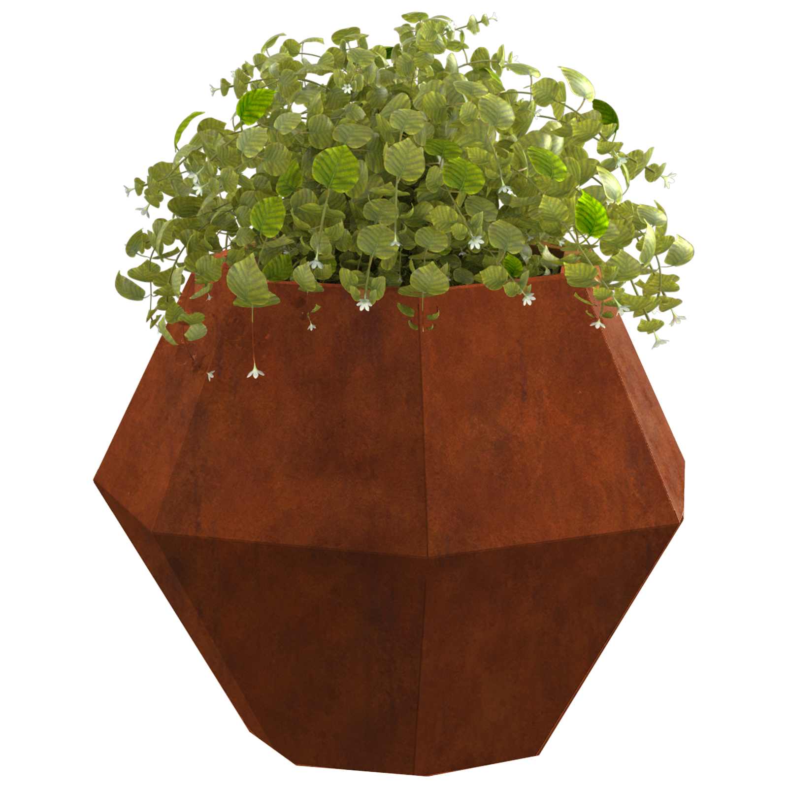 Γλάστρα Σκ rusty 50 x 50 x 40 cm Ατσάλι Σκληρυθέν στον Αέρα - Pakobazaar