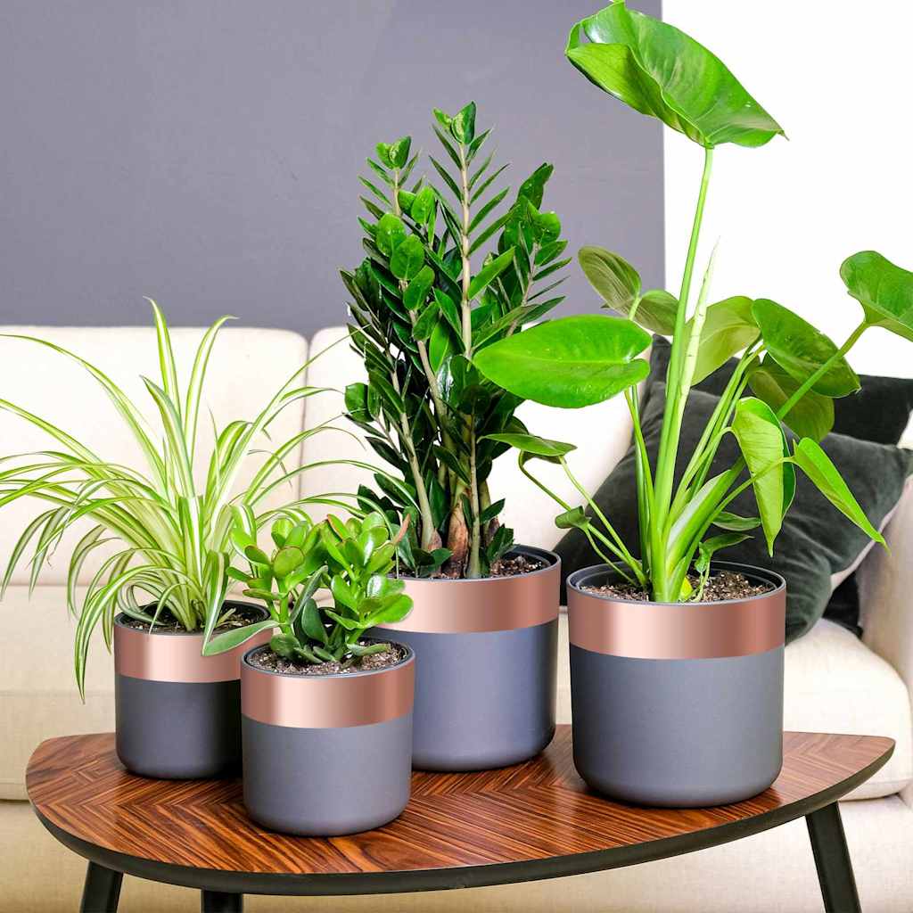 Χαλκοταινία 6 pcs Χάλκινο 2000 x 7 εκ Χάλκινο