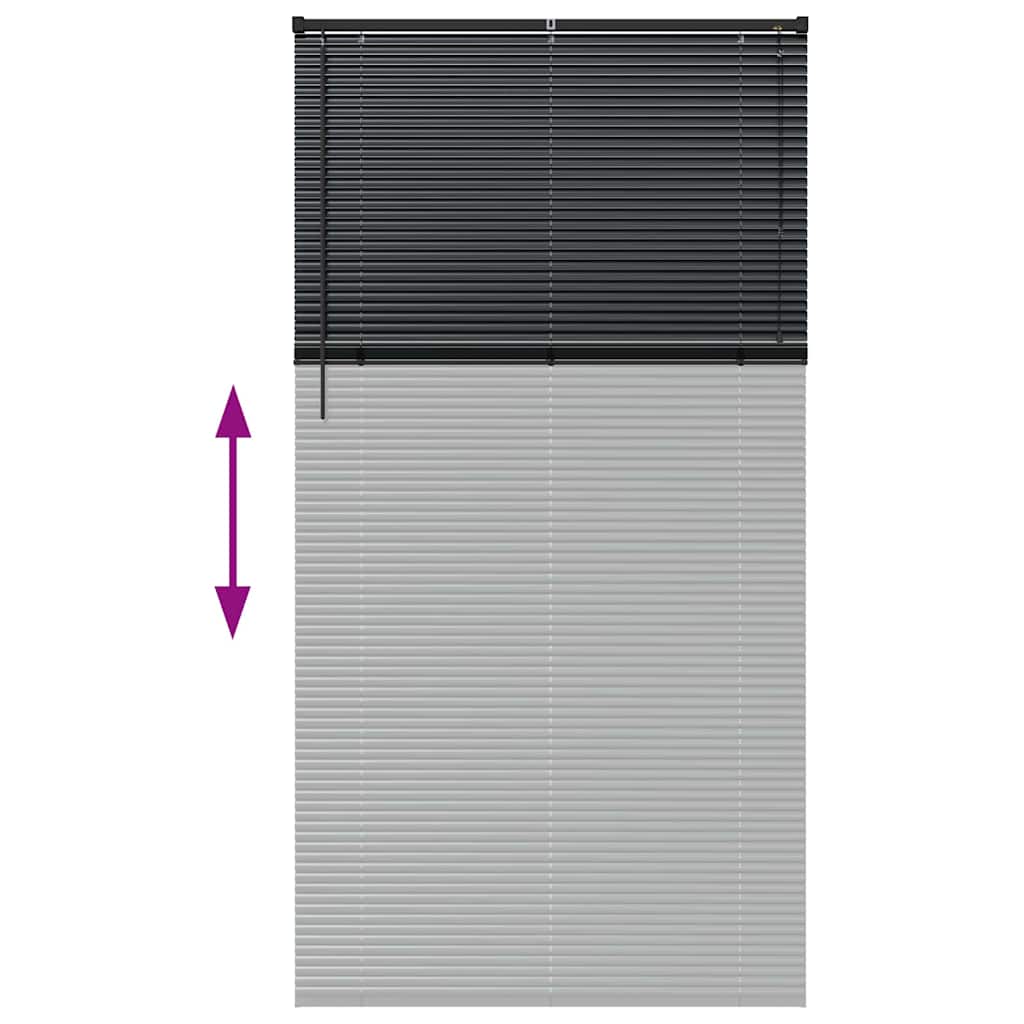 Βενετσιάνικες Ρόδες Μαύρο 220 x 110 cm Αλουμίνιο - Pakobazaar